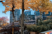 在北京团建活动中有哪些适合企业管理层的特殊训练